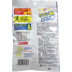 大丸 鹽+檸檬酸配方 葡萄糖 2g×20粒裝【補充劑】