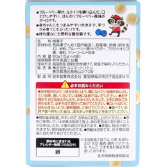 Baby Food BabyKid Blueberry Popsicles 15g x 4 bags