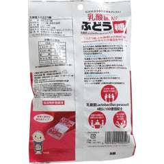 大丸 含乳酸菌 葡萄糖 2g×20粒【補充劑】