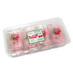 Kyoshin Cherry Mochi x 20 boxes