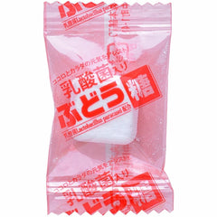 大丸 含乳酸菌 葡萄糖 2g×20粒【補充劑】