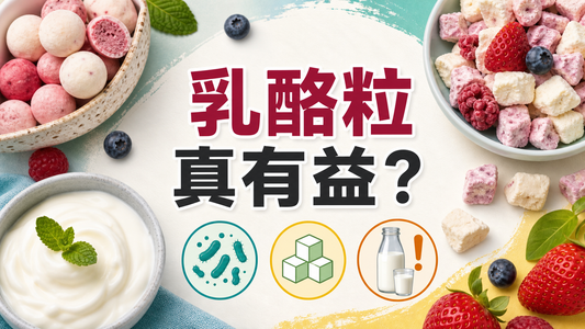 乳酪粒真有益封面圖，展示乳酪粒、益生菌、糖和奶類致敏原判斷
